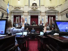 El Senado aprobó la amortización anticipada en Ganancias para inversiones desde los USD 12 millones