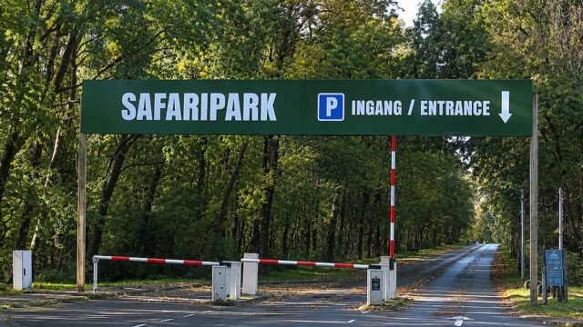 Murió una cuidadora tras el ataque de un leopardo en un safari de Países Bajos