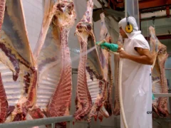 ¿La carne argentina es cara o barata? Cinco claves para interpretar las diferencias de precios frente a los principales mercados
