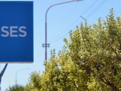ANSES: quiénes cobran hoy, lunes 26 de octubre de 2026