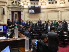 Créditos de carbono: el Senado aprobó la ley que busca convertir a la Argentina en exportador de servicios ambientales