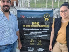 Cómo mejorar la eficiencia ganadera para producir más y mejor, el aporte de un grupo de profesionales en Valle Medio y su impacto en el rodeo