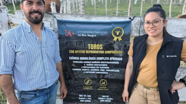 Cómo mejorar la eficiencia ganadera para producir más y mejor, el aporte de un grupo de profesionales en Valle Medio y su impacto en el rodeo