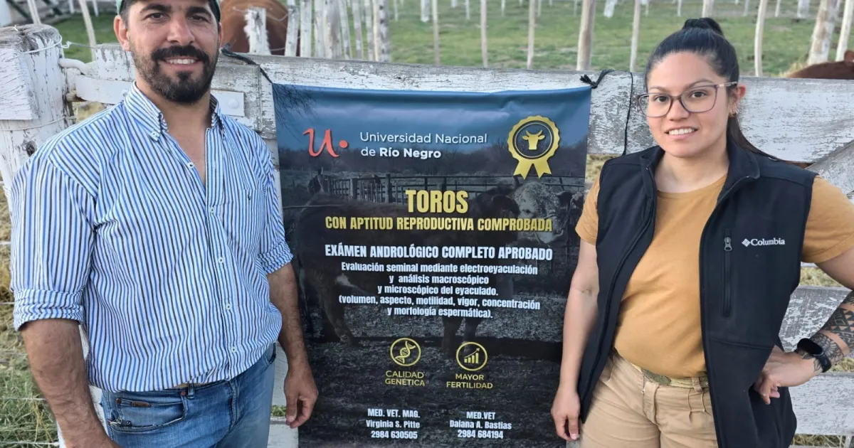 Cómo mejorar la eficiencia ganadera para producir más y mejor, el aporte de un grupo de profesionales en Valle Medio y su impacto en el rodeo