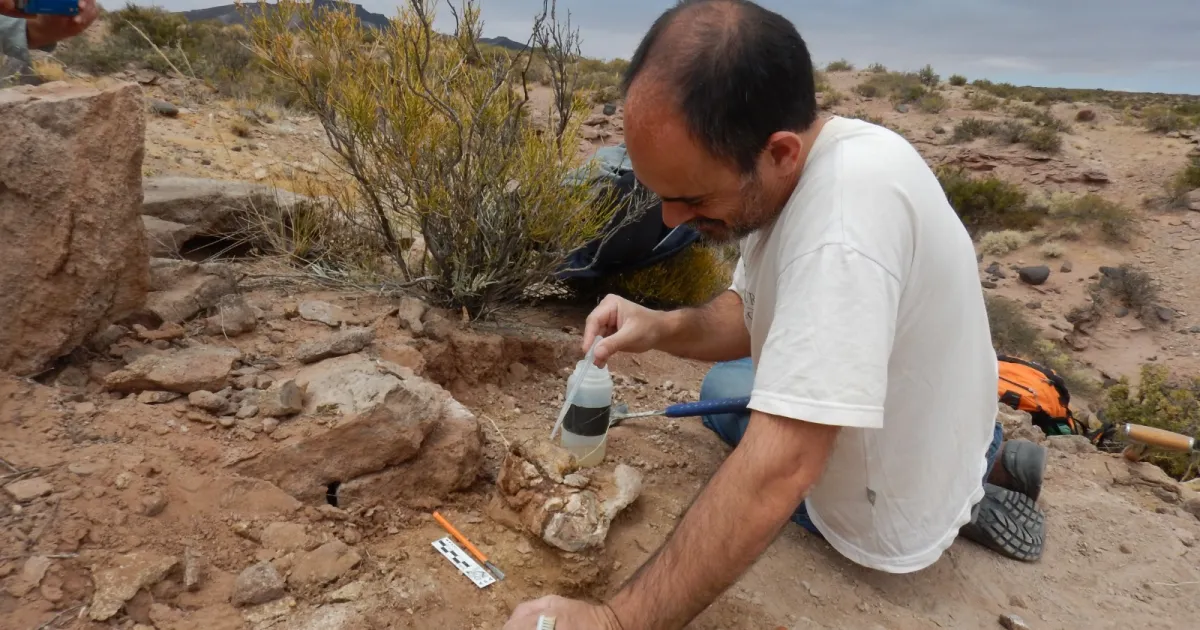 Un hallazgo paleontológico revela la diversidad de los dinosaurios carnívoros del norte neuquino