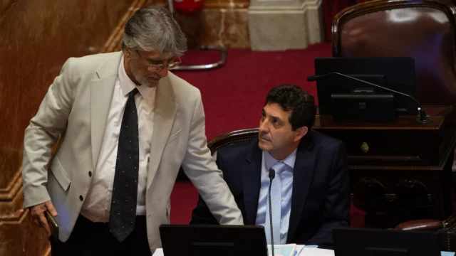 Magistratura: Rejal vuelve con los K en el Senado y complica a libertarios en una eventual puja por butacas