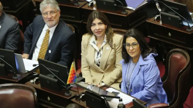Salud Mental: el oficialismo consiguió las firmas y el proyecto podría llegar al Senado el próximo jueves