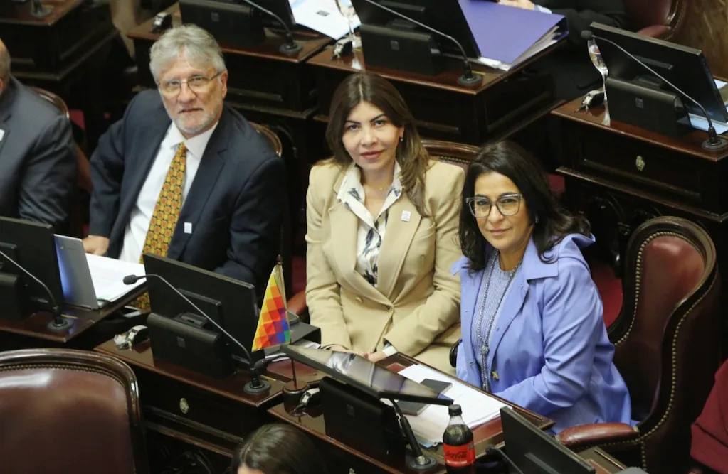 Salud Mental: el oficialismo consiguió las firmas y el proyecto podría llegar al Senado el próximo jueves