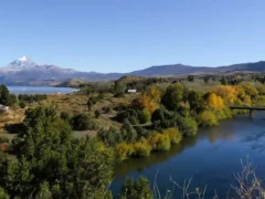 Temporada de pesca: nueva oficina en el río Chimehuín, permisos y fuertes multas para los infractores