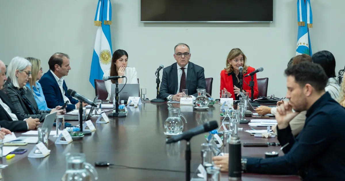 Neuquén tiene listo el proyecto para reformar el Código Procesal de Familia: qué cambiará