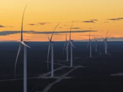 Cómo es el parque eólico más grande de la Argentina que busca reducir el consumo de gas en la industria del aluminio