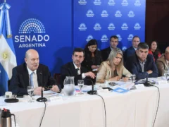El oficialismo busca dictaminar esta semana el proyecto de propiedad privada que restituye el límite de venta de tierras rurales