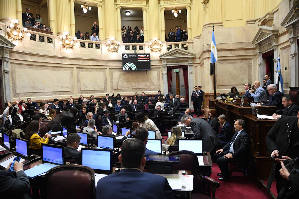 El Senado recibió el proyecto de ley de Discapacidad y el oficialismo define los tiempos del debate