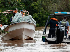 El fuerte impacto de El Niño en el Litoral: evacuaciones, rutas cortadas y el drama ganadero