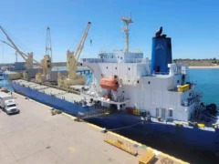 Puerto de San Antonio Este: lecciones desde Panamá