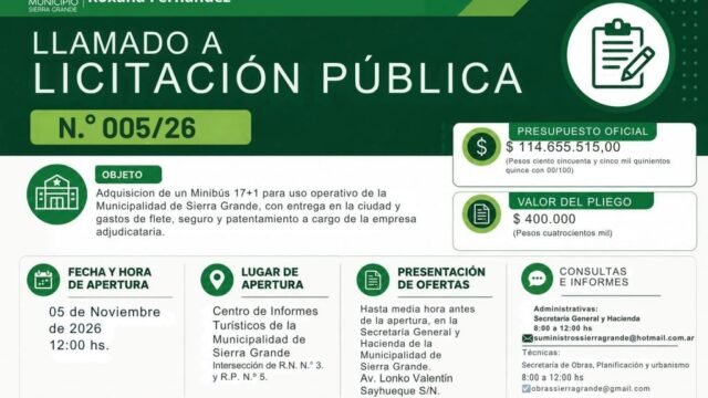Llamado a Licitación Pública N.º 005/26