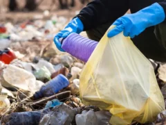 Cómo tratar la basura en el liberalismo