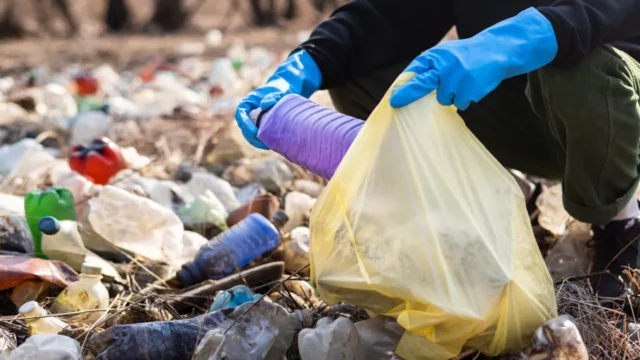 Cómo tratar la basura en el liberalismo
