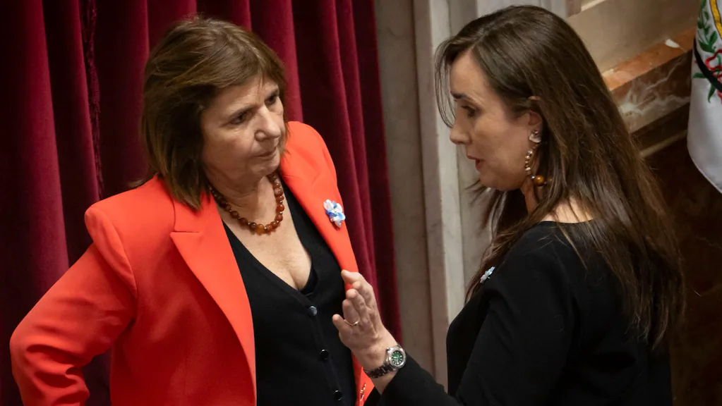 El Senado tratará la Ley de Salud Mental y un proyecto de incentivo de inversiones para grandes empresas