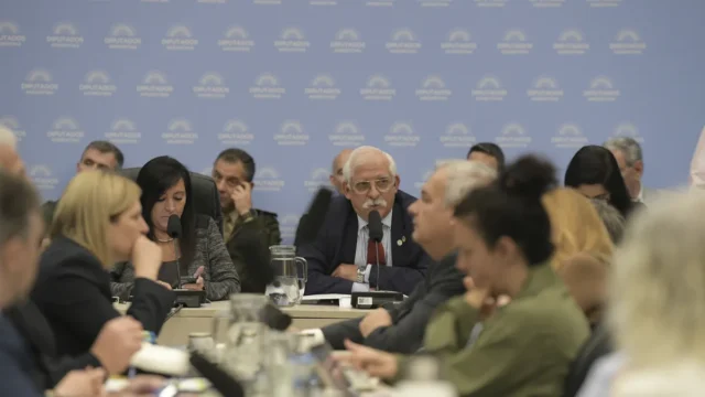 Malvinas: especialistas opinan sobre la ley de “Defensa de la Soberanía Nacional”, que tambalea en Diputados