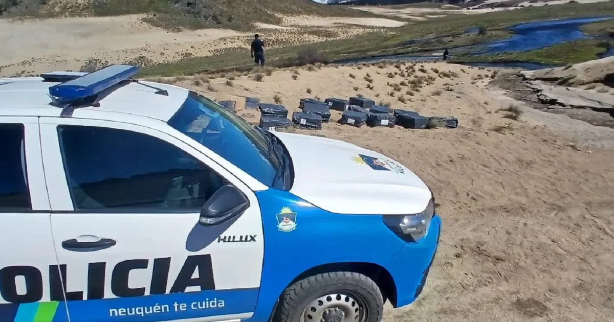 Golpe al contrabando en Neuquén: hallan un acopio clandestino de 25 cajas con mercadería en un paso cerca de la Ruta 23