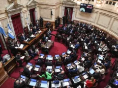 Con la Ley de Salud Mental en agenda, el Senado vuelve a sesionar después de un mes