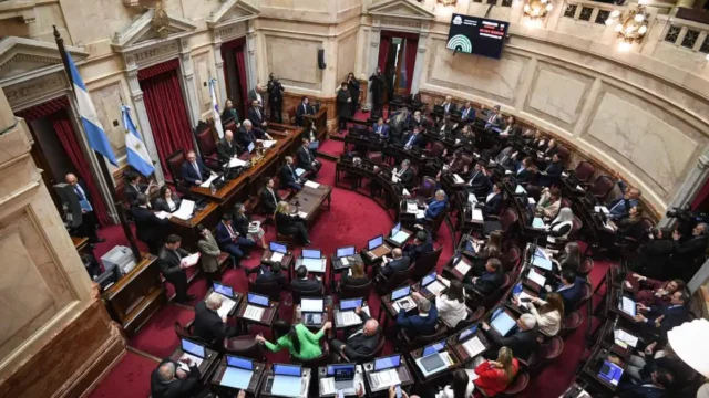 Con la Ley de Salud Mental en agenda, el Senado vuelve a sesionar después de un mes